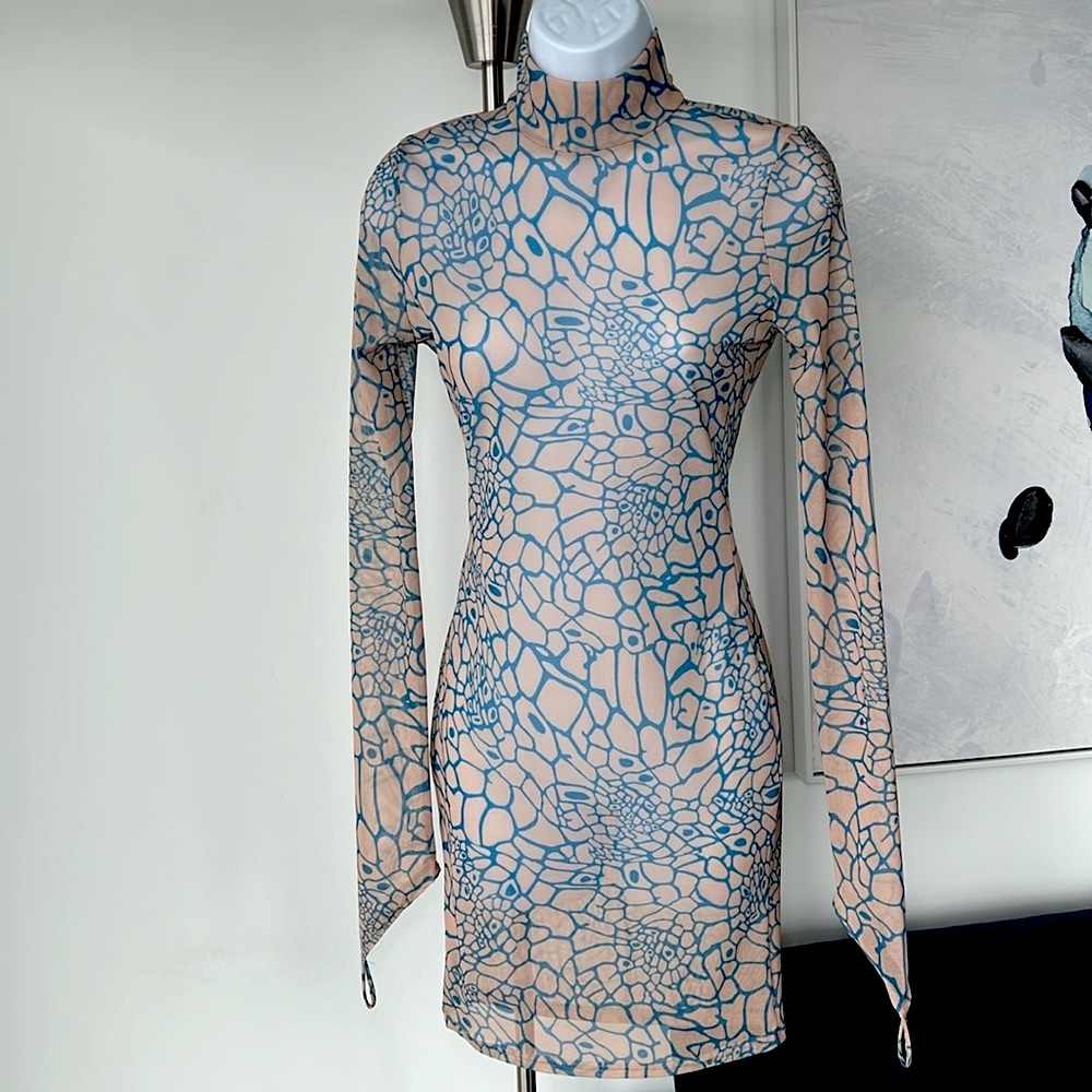 Sheer Beige/Nude Fitted Mini Dress